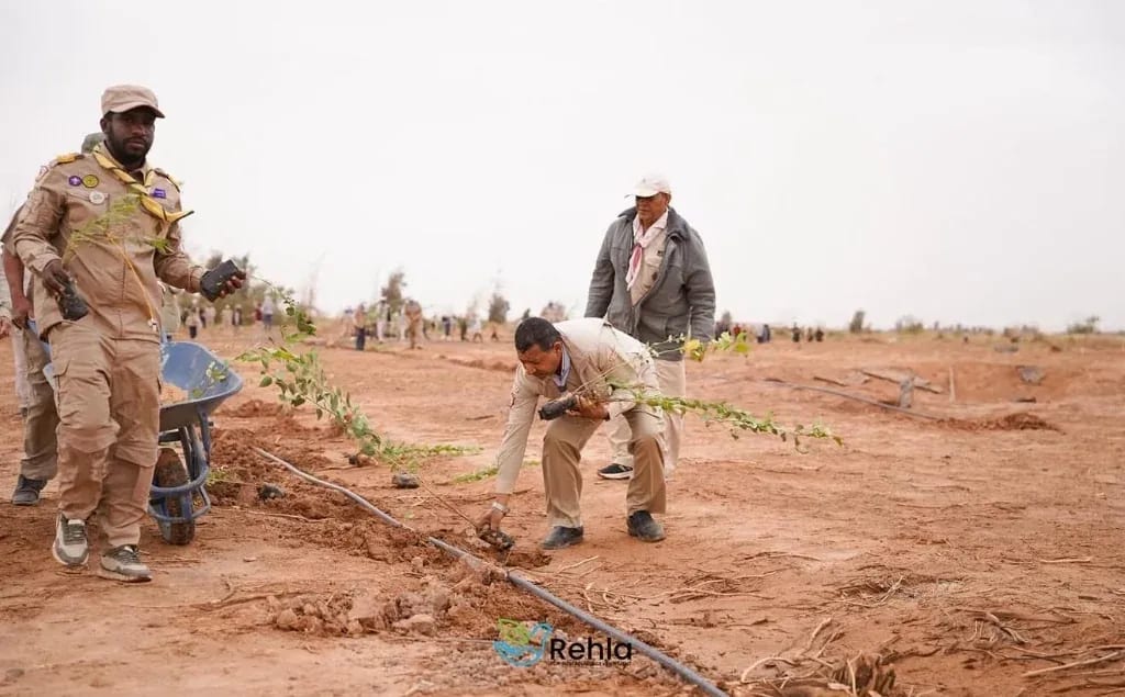 شبكات الري بالتنقيط وفرق المتطوعين والكشافة